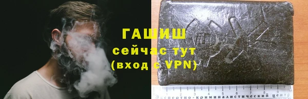 spice Алзамай