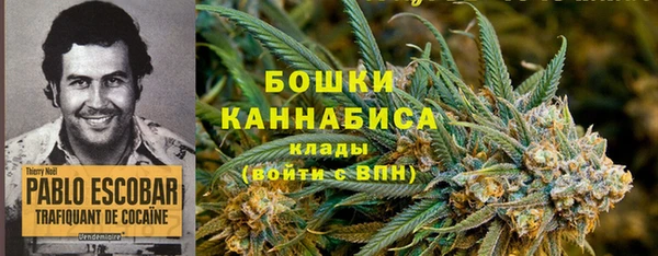 spice Алзамай