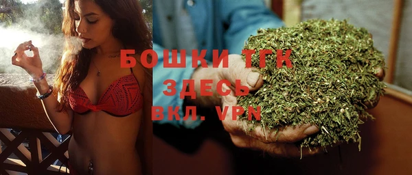 МДПВ Алексеевка